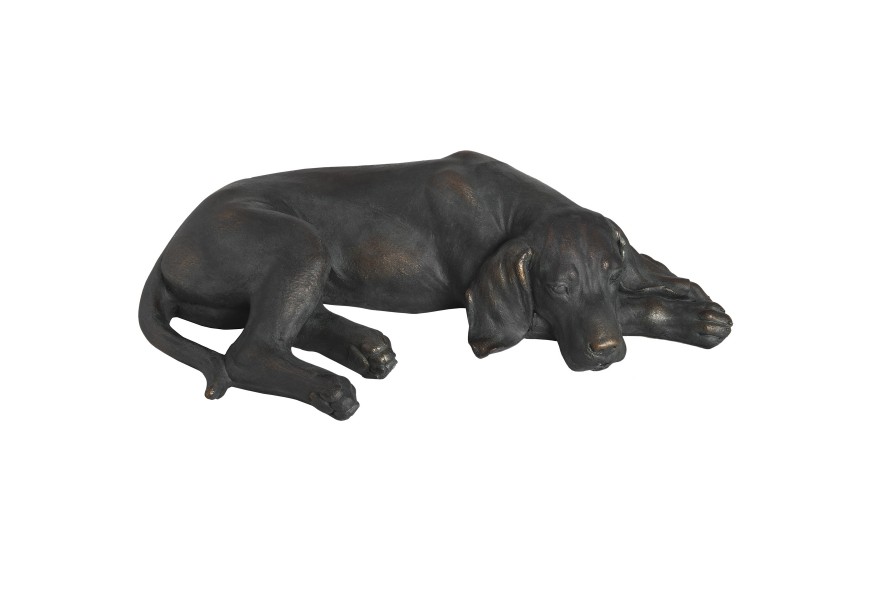 So&scaron;ka leniv&eacute;ho ležiaceho koker&scaron;paniela