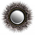 Exkluzívne nástenné zrkadlo Porcupine