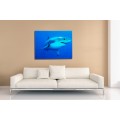 Štýlový obraz Žralok 60x80cm sklo