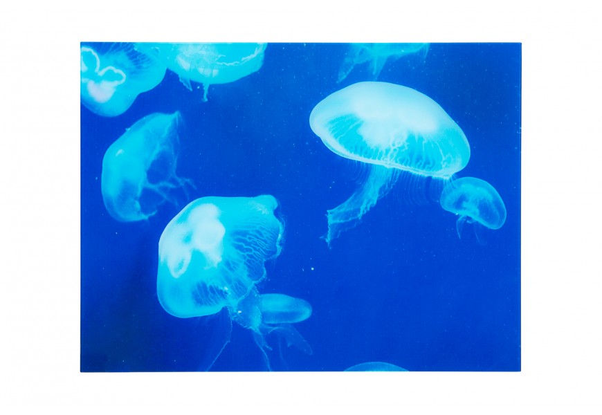 Štýlový obraz Medúza 60x80cm sklo