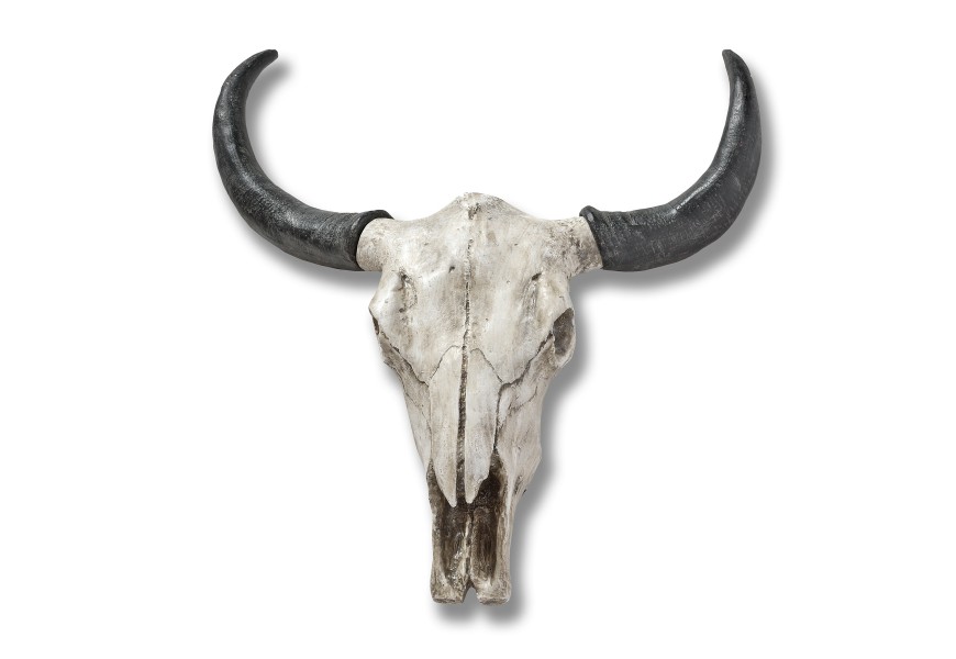 Extravagantn&aacute; dekoračn&aacute; lebka Ox 