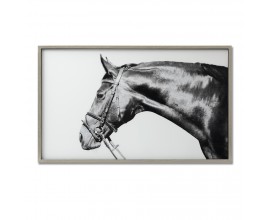 Luxusný obraz Thoroughbred  60x100cm