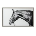 Luxusn&yacute; obraz Thoroughbred  60x100cm