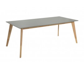 Jedálenský stôl Scandinavia 200cm sivá