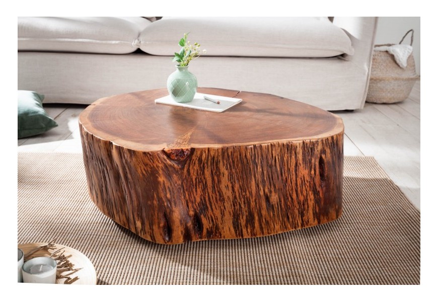 Masívny konferenčný stolík Pure Nature v industriálnom štýle v tvare pňa z agátového dreva