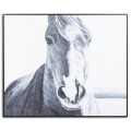 Dizajnová maľba koňa v čierno bielom prevedení s dreveným rámom