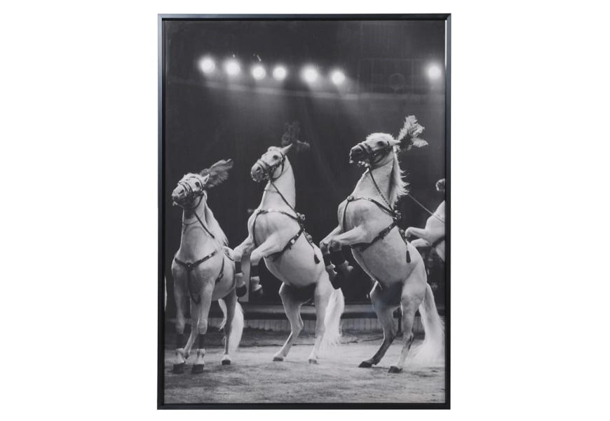 Štýlový vintage závesný obraz s fotografiou koní v čiernom ráme