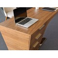 Vylepšite svoj pracovný priestor s moderným písacím stolom Vita Naturale s robustným dizajnom
