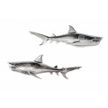 Dizajnová nástenná dekorácia žralok Perry z kovu striebornej farby 70cm