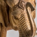 Etno vyrezávaná soška slona Simeon z tropického masívu prírodnej hnedej farby s vyrezávaným zdobením 66cm