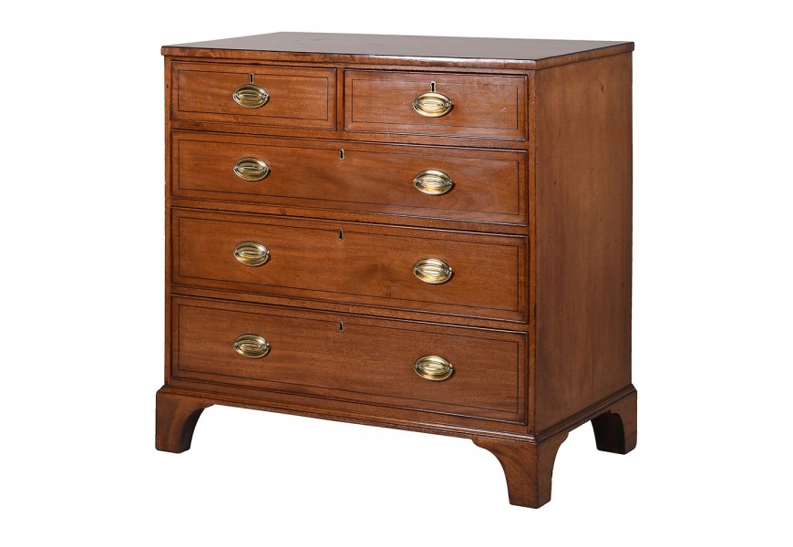 Mas&iacute;vna dreven&aacute; komoda Dorella v &scaron;koricovo hnedej farbe s piatimi z&aacute;suvkami a zlat&yacute;mi &uacute;chytmi 104cm
