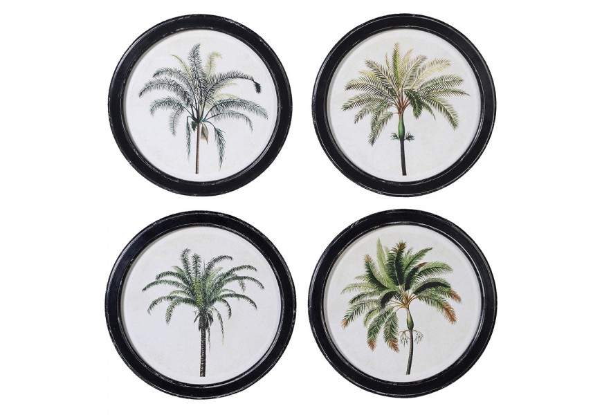 Štýlová koloniálna sada štyroch nástenných obrazov paliem Peran v okrúhlom tvare z masívneho dreva s rámom s vyrezávaním v čiernej farbe s jemnou patinou