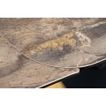 Luxusný rozkladací obdĺžnikový mramorový jedálenský stôl Hoal z keramickou hnedou doskou a čiernymi kovovými nožičkami 260 cm