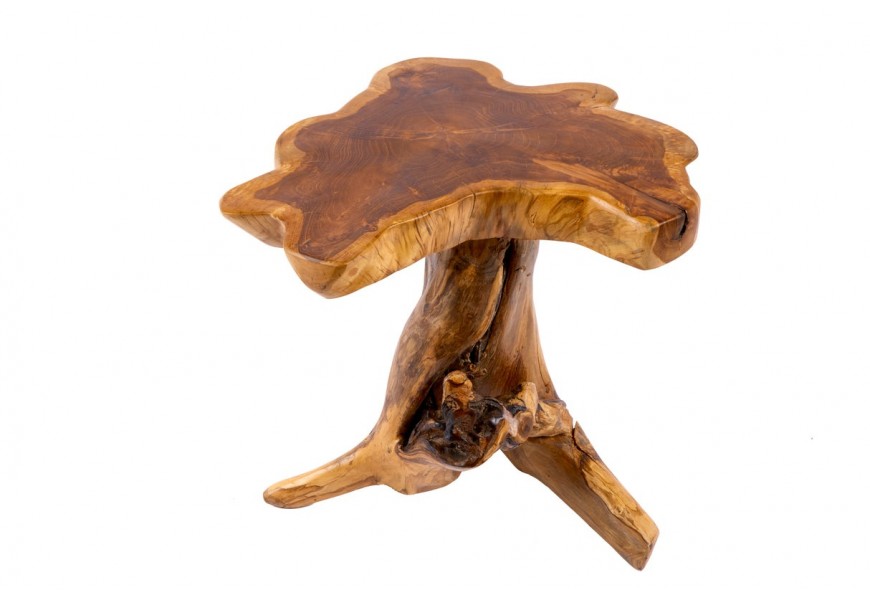 Vidiecky nepravidelný hnedý príručný stolík Root z masívneho dreva s prírodnou nohou z kmeňa a lakovaným povrchom 40 cm