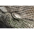 Glamour okrúhly príručný stolík Crocodile so strieborným kovovým držiakom v tvare krokodíla a sklenenou doskou 61 cm